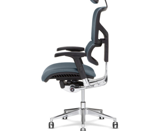 X-Chair Now in Stock!